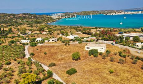 Αγροτεμάχια 8.000τ.μ. για πώληση-Κρανίδι » Πορτοχέλι