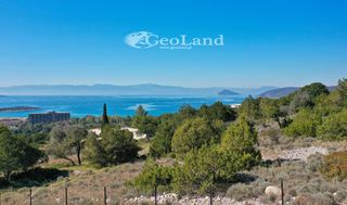 Οικόπεδο 658 τ.μ. προς πώληση, Σαλάντι-thumb-15