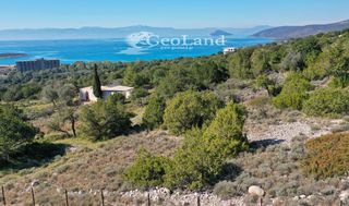 Οικόπεδο 658 τ.μ. προς πώληση, Σαλάντι-thumb-12