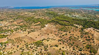 Αγροτεμάχια 10.063 τ.μ. για πώληση, Αργολίδα, Κρανίδι-thumb-6