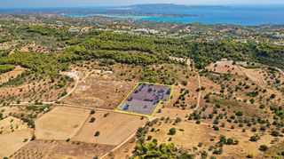 Αγροτεμάχια 10.063 τ.μ. για πώληση, Αργολίδα, Κρανίδι-thumb-5