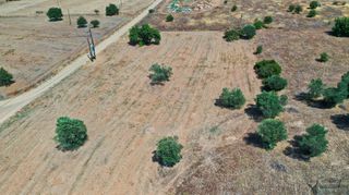 Αγροτεμάχια 10.063 τ.μ. για πώληση, Αργολίδα, Κρανίδι-thumb-9