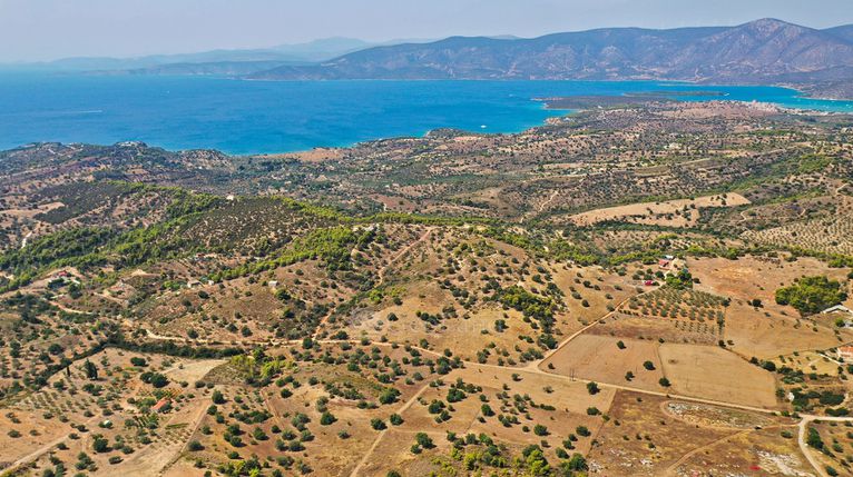 Αγροτεμάχια 10.063 τ.μ. για πώληση, Αργολίδα, Κρανίδι