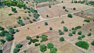 Αγροτεμάχια 10.063 τ.μ. για πώληση, Αργολίδα, Κρανίδι-thumb-16