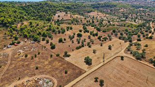 Αγροτεμάχια 10.063 τ.μ. για πώληση, Αργολίδα, Κρανίδι-thumb-17