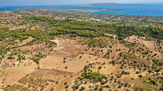 Αγροτεμάχια 10.063 τ.μ. για πώληση, Αργολίδα, Κρανίδι-thumb-8