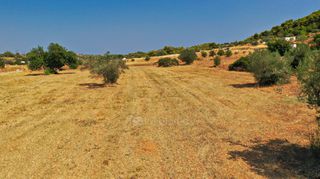 Αγροτεμάχια 10.063 τ.μ. για πώληση, Αργολίδα, Κρανίδι-thumb-7