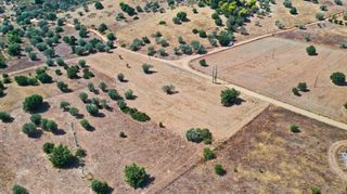 Αγροτεμάχια 10.063 τ.μ. για πώληση, Αργολίδα, Κρανίδι-thumb-19