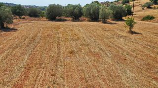Αγροτεμάχια 10.063 τ.μ. για πώληση, Αργολίδα, Κρανίδι-thumb-10