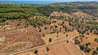 Αγροτεμάχια 10.063 τ.μ. για πώληση, Αργολίδα, Κρανίδι-thumb-20