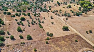 Αγροτεμάχια 10.063 τ.μ. για πώληση, Αργολίδα, Κρανίδι-thumb-15