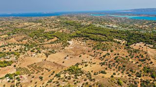 Αγροτεμάχια 10.063 τ.μ. για πώληση, Αργολίδα, Κρανίδι-thumb-22