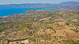 Αγροτεμάχια 10.063 τ.μ. για πώληση, Αργολίδα, Κρανίδι-thumb-13
