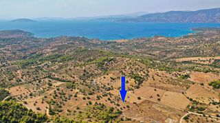 Αγροτεμάχια 10.063 τ.μ. για πώληση, Αργολίδα, Κρανίδι-thumb-3