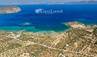 Αγροτεμάχια 14.000 τ.μ. πρός πώληση, Αργολίδα, Ερμιόνη-thumb-9