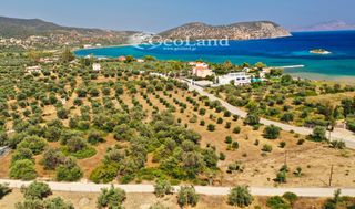 Αγροτεμάχια 14.000 τ.μ. πρός πώληση, Αργολίδα, Ερμιόνη-thumb-5