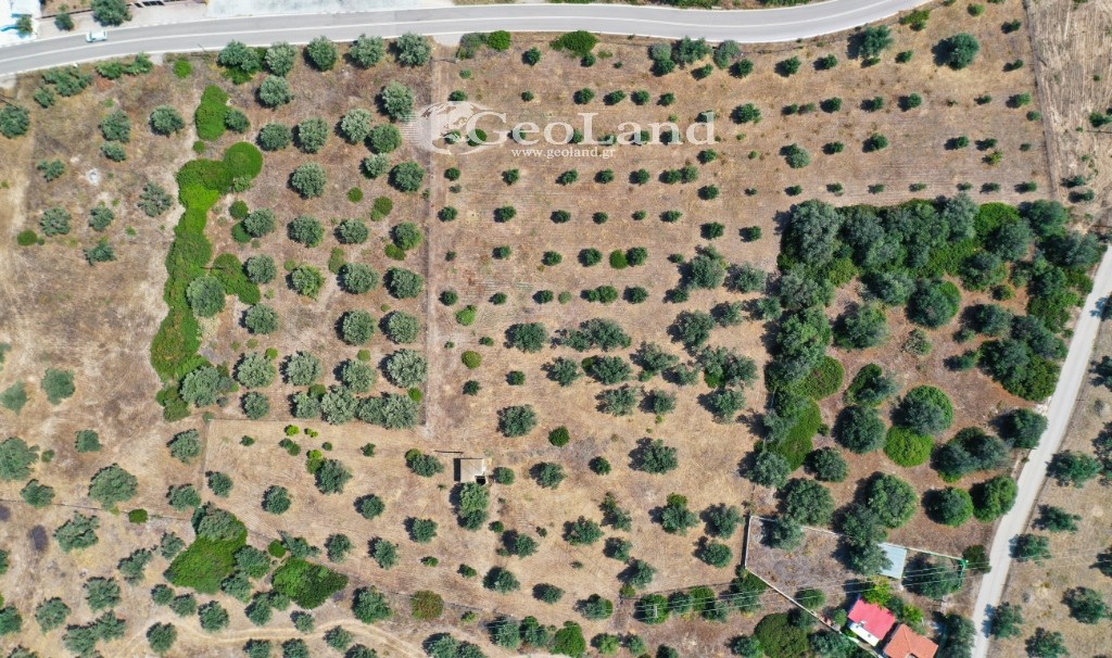 Αγροτεμάχια 14.000 τ.μ. πρός πώληση, Αργολίδα, Ερμιόνη
