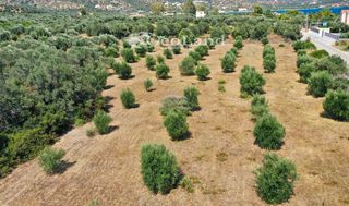 Αγροτεμάχια 14.000 τ.μ. πρός πώληση, Αργολίδα, Ερμιόνη-thumb-20