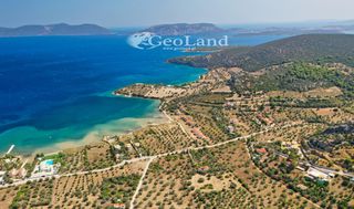 Αγροτεμάχια 14.000 τ.μ. πρός πώληση, Αργολίδα, Ερμιόνη-thumb-13