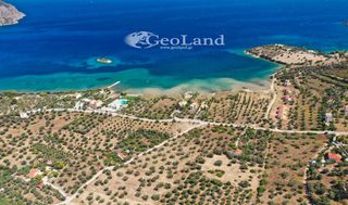 Αγροτεμάχια 14.000 τ.μ. πρός πώληση, Αργολίδα, Ερμιόνη-thumb-15