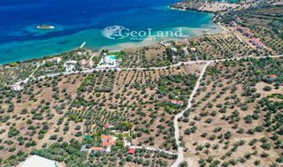 Αγροτεμάχια 14.000 τ.μ. πρός πώληση, Αργολίδα, Ερμιόνη-thumb-16