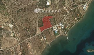 Αγροτεμάχια 14.000 τ.μ. πρός πώληση, Αργολίδα, Ερμιόνη-thumb-24