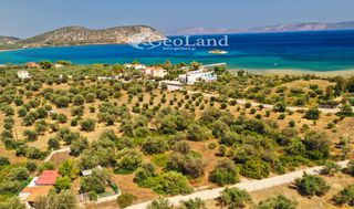 Αγροτεμάχια 14.000 τ.μ. πρός πώληση, Αργολίδα, Ερμιόνη-thumb-6