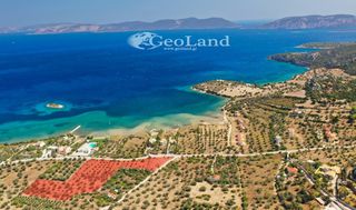 Αγροτεμάχια 14.000 τ.μ. πρός πώληση, Αργολίδα, Ερμιόνη-thumb-11