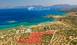 Αγροτεμάχια 14.000 τ.μ. πρός πώληση, Αργολίδα, Ερμιόνη-thumb-17