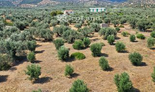Αγροτεμάχια 14.000 τ.μ. πρός πώληση, Αργολίδα, Ερμιόνη-thumb-23