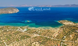 Αγροτεμάχια 14.000 τ.μ. πρός πώληση, Αργολίδα, Ερμιόνη-thumb-1