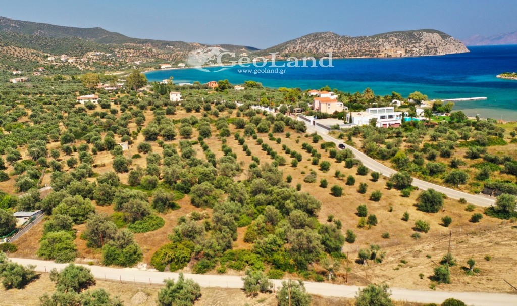 Αγροτεμάχια 14.000 τ.μ. πρός πώληση, Αργολίδα, Ερμιόνη