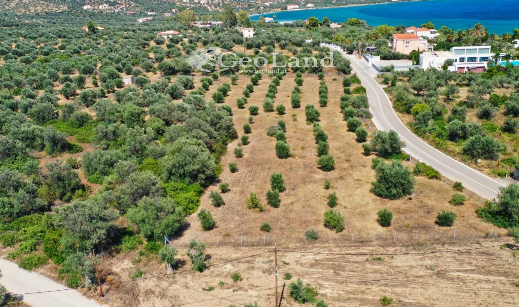 Αγροτεμάχια 14.000 τ.μ. πρός πώληση, Αργολίδα, Ερμιόνη