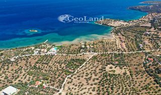 Αγροτεμάχια 14.000 τ.μ. πρός πώληση, Αργολίδα, Ερμιόνη-thumb-12