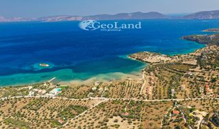 Αγροτεμάχια 14.000 τ.μ. πρός πώληση, Αργολίδα, Ερμιόνη-thumb-10