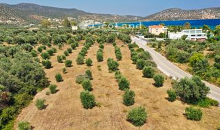 Αγροτεμάχια 14.000 τ.μ. πρός πώληση, Αργολίδα, Ερμιόνη-thumb-18