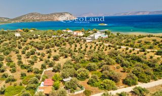 Αγροτεμάχια 14.000 τ.μ. πρός πώληση, Αργολίδα, Ερμιόνη-thumb-7