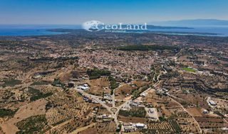 Αγροτεμάχια 3.300 τ.μ. για πώληση