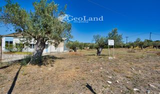 Αγροτεμάχια 3.300 τ.μ. για πώληση, Αργολίδα, Κρανίδι-thumb-8
