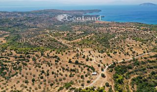 Αγροτεμάχια 4.004 τ.μ. για πώληση, Αργολίδα, Κρανίδι-thumb-19
