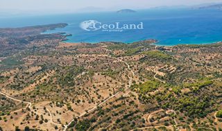 Αγροτεμάχια 4.004 τ.μ. για πώληση, Αργολίδα, Κρανίδι-thumb-10