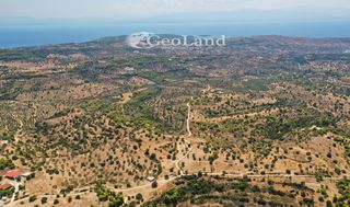 Αγροτεμάχια 4.004 τ.μ. για πώληση, Αργολίδα, Κρανίδι-thumb-5