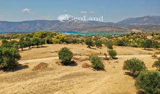 Αγροτεμάχια 4.004 τ.μ. για πώληση, Αργολίδα, Κρανίδι-thumb-2