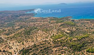 Αγροτεμάχια 4.004 τ.μ. για πώληση, Αργολίδα, Κρανίδι-thumb-9