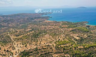 Αγροτεμάχια 4.004 τ.μ. για πώληση, Αργολίδα, Κρανίδι-thumb-7