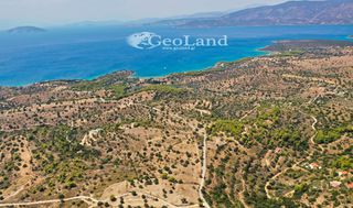 Αγροτεμάχια 4.004 τ.μ. για πώληση, Αργολίδα, Κρανίδι-thumb-11