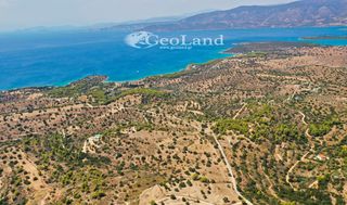 Αγροτεμάχια 4.004 τ.μ. για πώληση, Αργολίδα, Κρανίδι-thumb-1