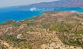 Αγροτεμάχια 4.004 τ.μ. για πώληση, Αργολίδα, Κρανίδι-thumb-12