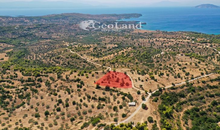 Αγροτεμάχια 4.004 τ.μ. για πώληση, Αργολίδα, Κρανίδι