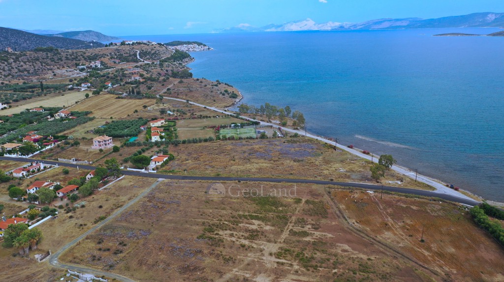 Αγροτεμάχια 6.172 τ.μ. προς πώληση, Κέντρο Ερμιόνης